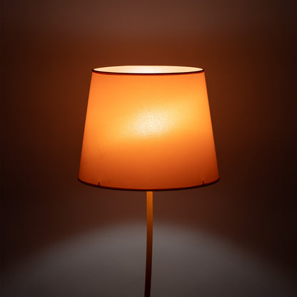 NICOLA Orange Mid-Century Modern Floor Lamp